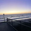 Tyler Pringle - @tyler.pringle0 - TikTok