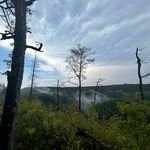 Tyler puckett - @tylerpuckett711 - Instagram