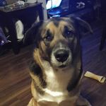 Tyler R Putt - @putt420 - Instagram