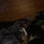 Tyler Quick - @tyler.quick.94651 - Instagram