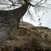 tyler quick - @tyler.quick - TikTok