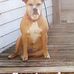 Tyler Rains - Facebook