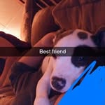 Tyler Rains - @tyler.rains.796 - Instagram