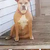 tylerrains449 - @tylerrains449 - TikTok