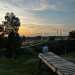 Tyler Raley - @tylerraley29 - Instagram