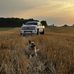 Tyler Ramer - Facebook