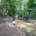 Tyler Ramer - Facebook