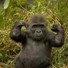 Tyler Rayburn - @tyler.rayburn.12 - TikTok