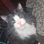 Tylor Rebout - Facebook