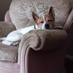 Tyler Reddy - Facebook