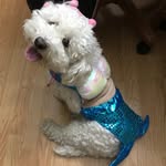 Tyler Reilly - @tyler_reilly22 - Instagram