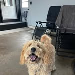 Tyler Reilly - @tyler.reilly - Instagram
