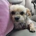 Tyler Rhoads - Facebook