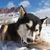 Tyler Rhoads - @tyler.rhoads7 - TikTok
