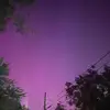 Tyler Riggs - @tyler.riggs2 - TikTok