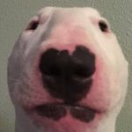 Tyler Risner - @t_risner - Instagram