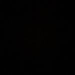 Tyler Risner - @tylerrisner__ - Instagram