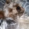 Tyler - @tyler.risner0 - TikTok
