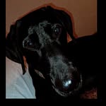 Tyler Ritter - @tylerritter14 - Instagram