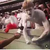 Tyler Roby - @tylerroby0 - TikTok