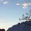 tyler.rounds - @tyler.rounds - TikTok