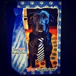 Tyler Rubenstein - @ty_wears_ties - Instagram