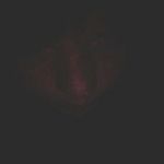 Tyler Ruby - @skipper.bipper - Instagram