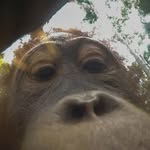 Tyler Ruder - @rudert20 - Instagram