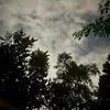 Ruffi - @tylerruffi - TikTok