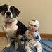 Tyler Rush - Facebook