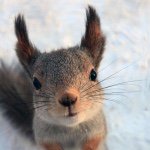 Tyler Rushton - @ty_the_spy - Instagram