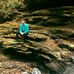 Tyler Ryals - Facebook