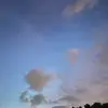 tyler - @tylersand8 - TikTok