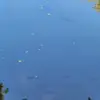 Tyler - @tyler.santoro1 - TikTok