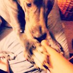 Tyler Sarver - @tyler.sarver - Instagram