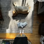 Tyler Sasse - @tylersthrifts - Instagram
