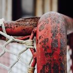 Tyler Schaeffer - @tyler.schaeffer17 - Instagram