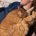 Tyler Scharff - @scharfftyler - Instagram