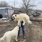 Tyler Schoen - Facebook