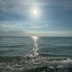 Tyler Schoenling - @tyler_schoenling11 - Instagram