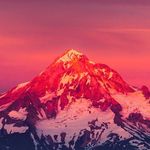 Tyler Scholl - @itstylerig - Instagram