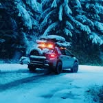 Tyler Scholle - @tylerscholle - Instagram