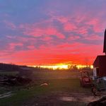 Tyler schuler - @schuler4930 - Instagram
