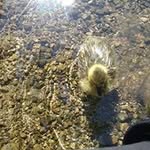 Tyler Seibert - @tyler.seibert.7393 - Instagram