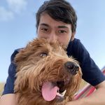 Tyler Sells - @tylerthedogtrainer - Instagram