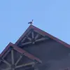 tylerserna127 - @tylerserna2 - TikTok
