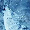 tyler shearer - @tylershearer06 - TikTok
