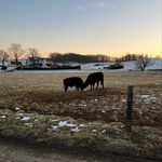Tyler Shoemaker - @shoemakertyler6420 - Instagram