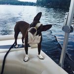 Tyler Simms - @tjsimms9 - Instagram