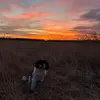 Tyler Simonson - @tylersimonson - TikTok